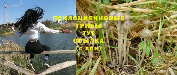 сатива Пролетарск