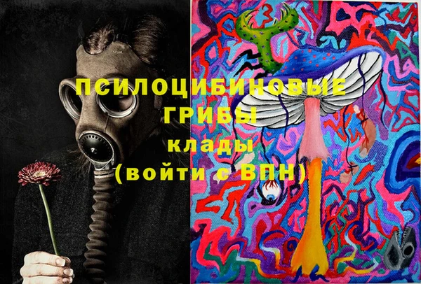 ПСИЛОЦИБИНОВЫЕ ГРИБЫ Алексин