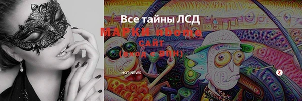 ПСИЛОЦИБИНОВЫЕ ГРИБЫ Алексин