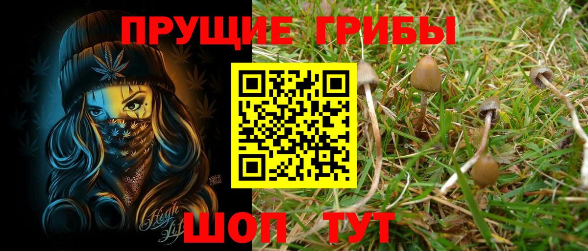 Галлюциногенные грибы GOLDEN TEACHER Джанкой