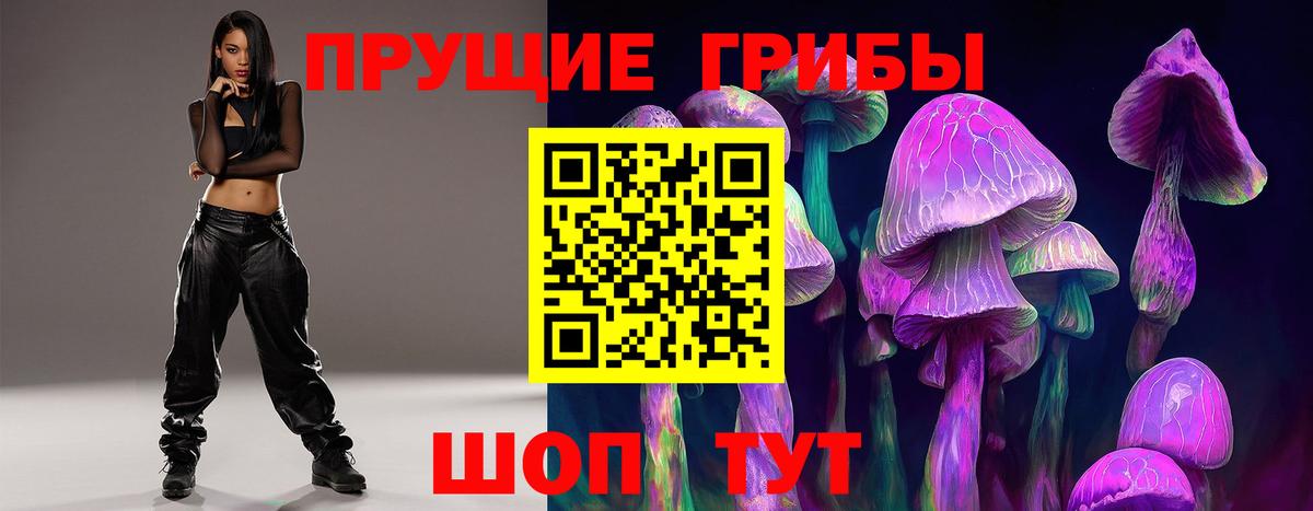 закладка  Вход с VPN  Джанкой  Псилоцибиновые грибы Magic Shrooms 